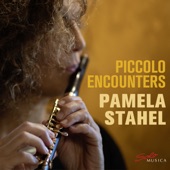 piccolo encounters artwork