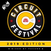 Circuit Festival Compilation 2019 - Mixed by Pagano (DJ MIX) artwork