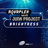 Brightness (DJ Sakin & Friends Mix) artwork