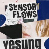 Sensory Flows - The 1st Album artwork
