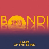 Land of the Blind (Edit) artwork