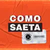 Como Saetas (feat. Damaris Sepulveda, Jan Earle & Francisco Cortizo) - Single album lyrics, reviews, download
