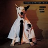 Jessie's Girl by Rick Springfield iTunes Track 5