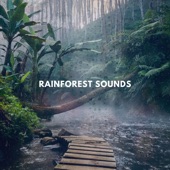 Rainforest Sounds artwork
