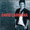 David Carmona