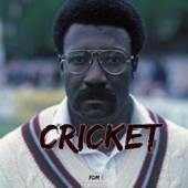 Cricket artwork