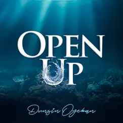 Open Up - EP by Dunsin Oyekan album reviews, ratings, credits