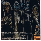 Stay Alive in a Big Country artwork
