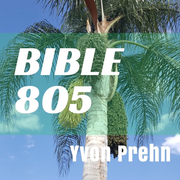 Bible 805 Bible 805