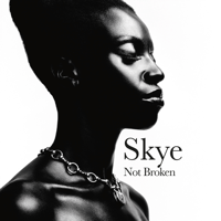Skye - Not Broken artwork