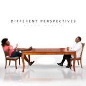 Different Perspectives Intro artwork