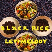 Black Rice artwork