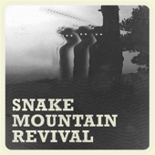 Snake Mountain Revival - Just a Feeling