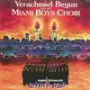 Shabbos Yerushalayim album lyrics, reviews, download