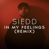 In My Feelings (Remix) artwork