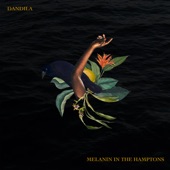 Melanin In the Hamptons by Dandila