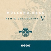 Pororoca feat. Anissa Damali (Mollono.Bass Remix) artwork