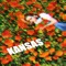 Kansas - Fwrd lyrics