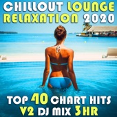 Chill Out Lounge Relaxation 2020, Vol. 2 (DJ Mix 3Hr) artwork