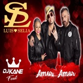 Luis Y Selia - Amor Amor (feat. DJ Kane)
