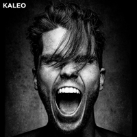 KALEO - Break My Baby artwork