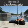Sentimiento - Single