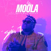 Moola (Mailbox Money) artwork