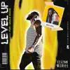 Level UP (feat. Uncle Reece) - Single album lyrics, reviews, download