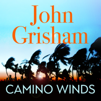 John Grisham - Camino Winds artwork