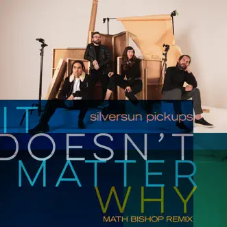 It Doesn't Matter Why (Math Bishop Remix) - Single by Silversun Pickups album reviews, ratings, credits