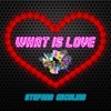 What Is Love - Single