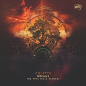 Colette - Dreams - Pete Moss Remix