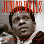 Junior Wells - In My Younger Days