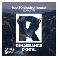 Various Artists - Top 50 Electro House Spring '19 artwork