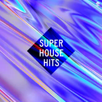 Super House Hits by Various Artists album reviews, ratings, credits