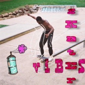 Skater Vibes artwork