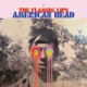 AMERICAN HEAD cover art
