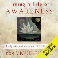 Don Miguel Ruiz, Jr - Living a Life of Awareness: Daily Meditations on the Toltec Path (Unabridged) artwork