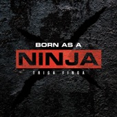 Born as a NINJA artwork