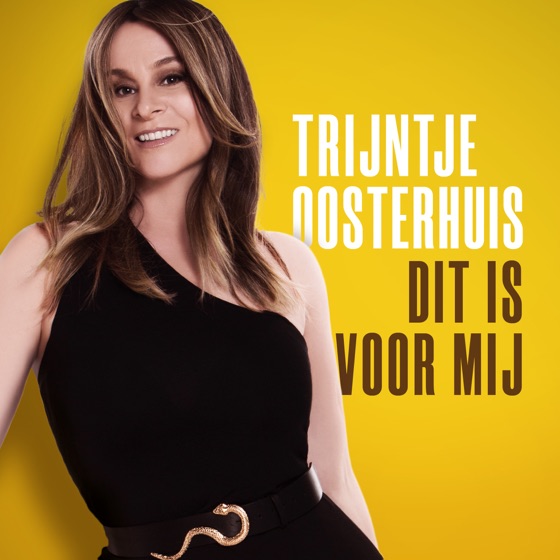 Cover artwork for Nooit Voorbij (feat. Lavinia Meijer)