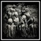 Shallow Graves (Fataliste) [feat. Fataliste] - Catafalque lyrics