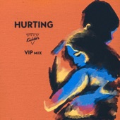Hurting (VIP Edit) artwork