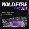 Stream & download Wildfire - Single