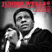 Junior Wells - Trouble Don't Last