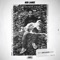 They Don't Want - Kid Lance lyrics