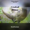 Crash of Rhinos - David LaLone lyrics