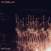 Interlay - All Animal