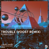 Trouble (Voost Remix) artwork