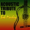 Acoustic Tribute to Bob Marley (Instrumental)