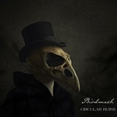 Birdmask artwork